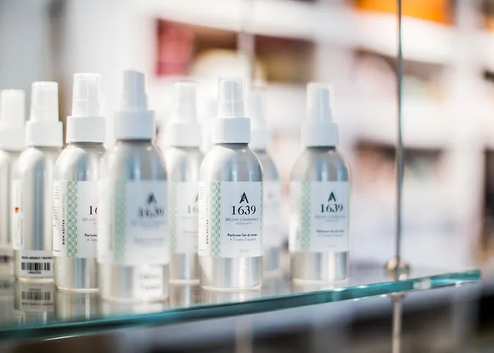 Monastere Des Augustines Hotel